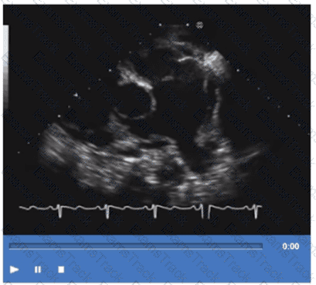 AE-Adult-Echocardiography Question 3